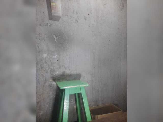 Serclem1