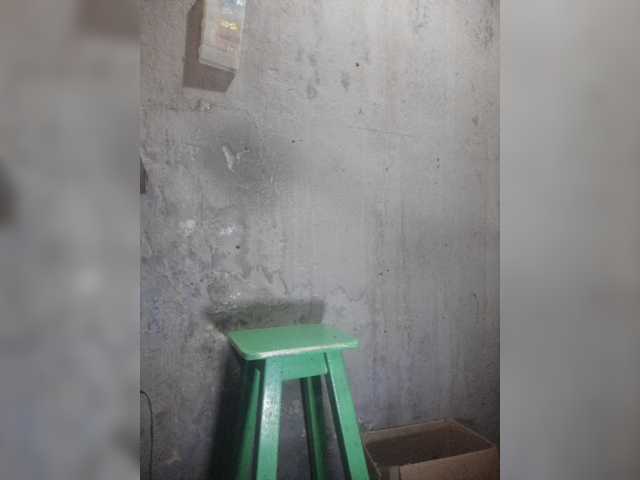 Serclem1