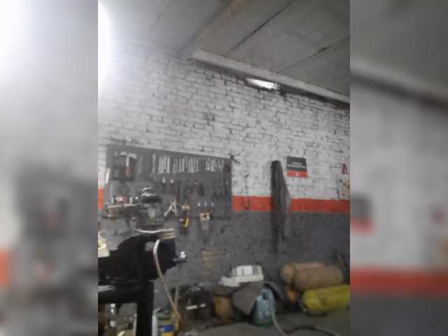 Serclem1