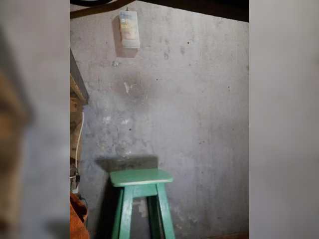 Serclem1