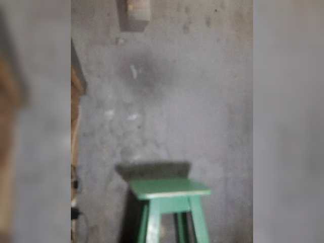 Serclem1