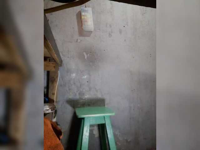 Serclem1