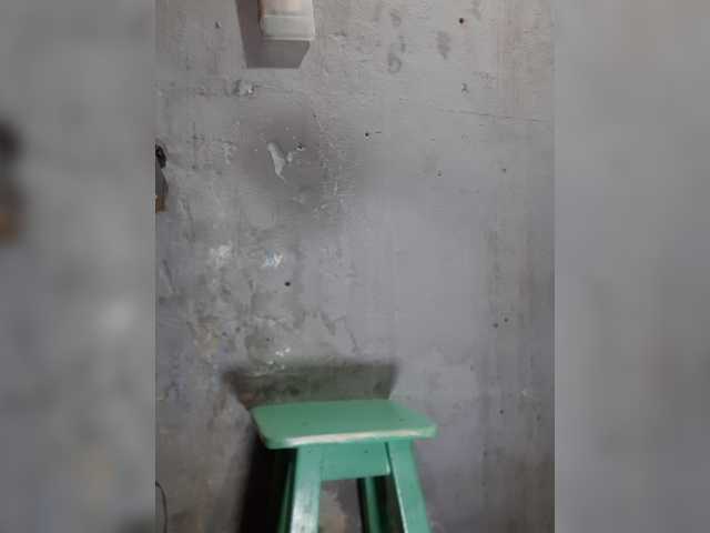 Serclem1