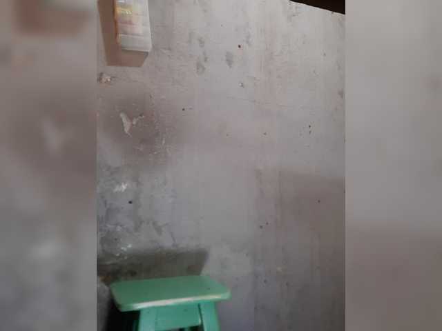 Serclem1