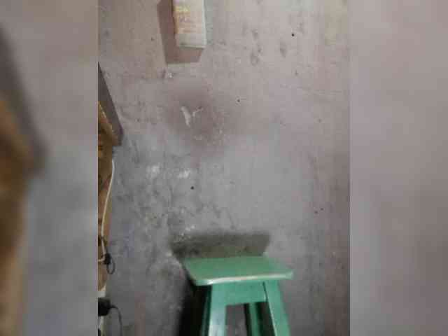 Serclem1
