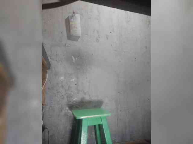 Serclem1