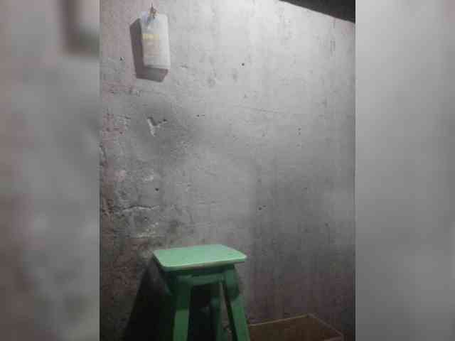Serclem1