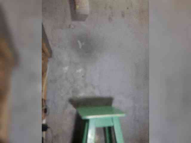 Serclem1