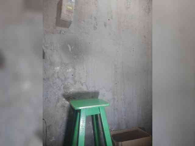 Serclem1