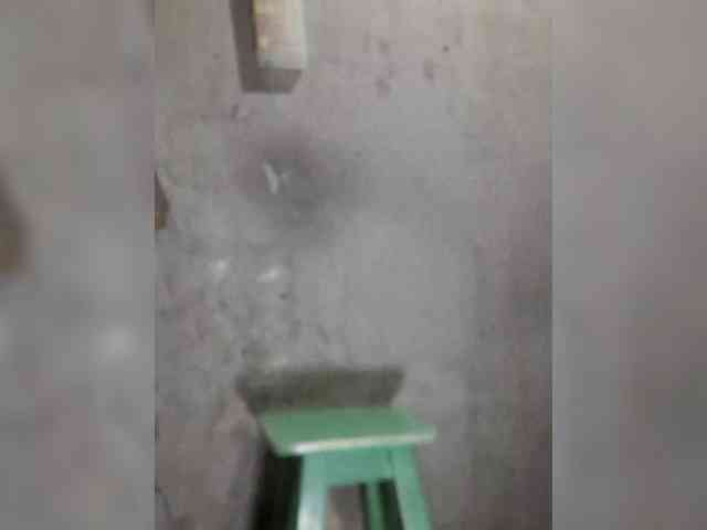 Serclem1