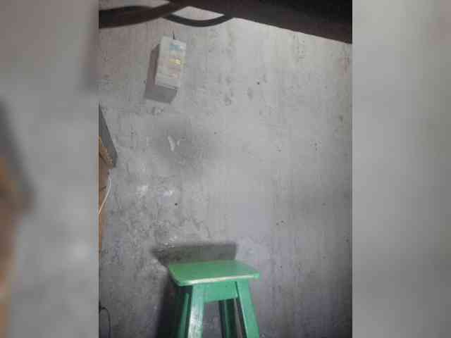 Serclem1