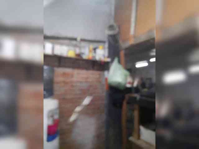 Serclem1