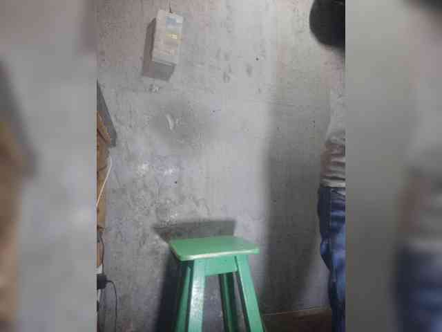 Serclem1