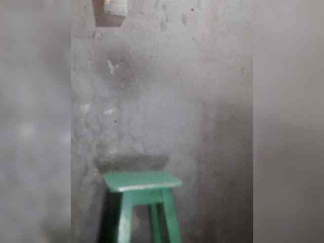 Serclem1