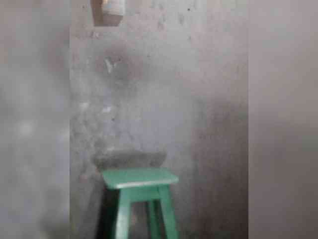 Serclem1