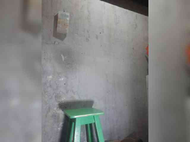 Serclem1