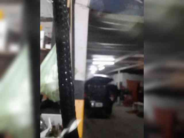 Serclem1