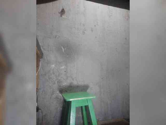 Serclem1 Serclem1