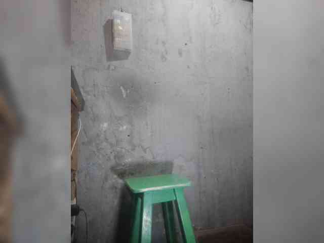 Serclem1