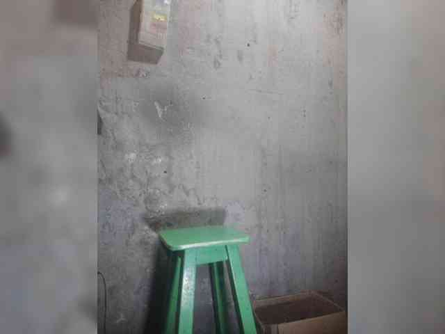 Serclem1