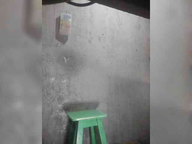 Serclem1