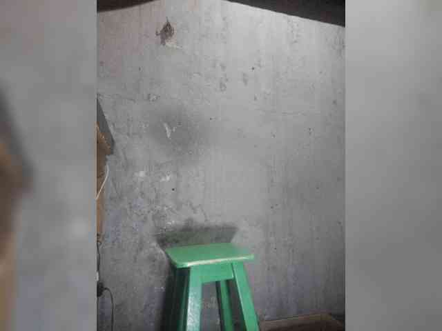 Serclem1