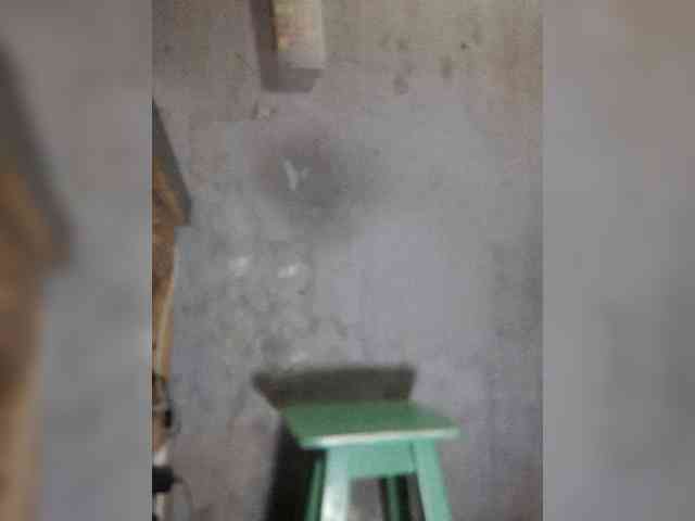 Serclem1