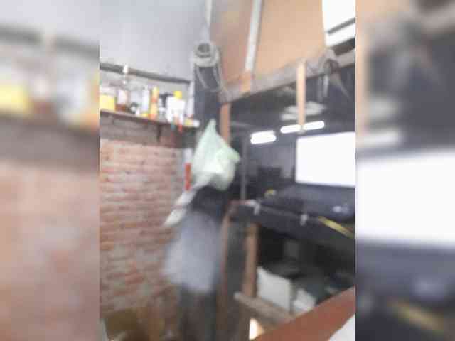 Serclem1
