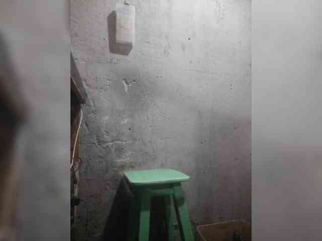 Serclem1