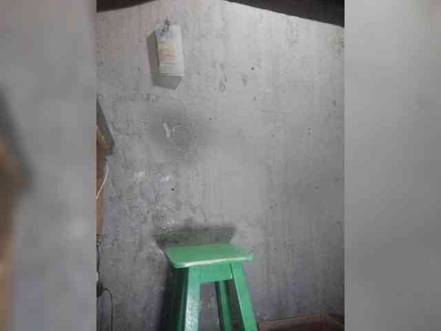 Serclem1