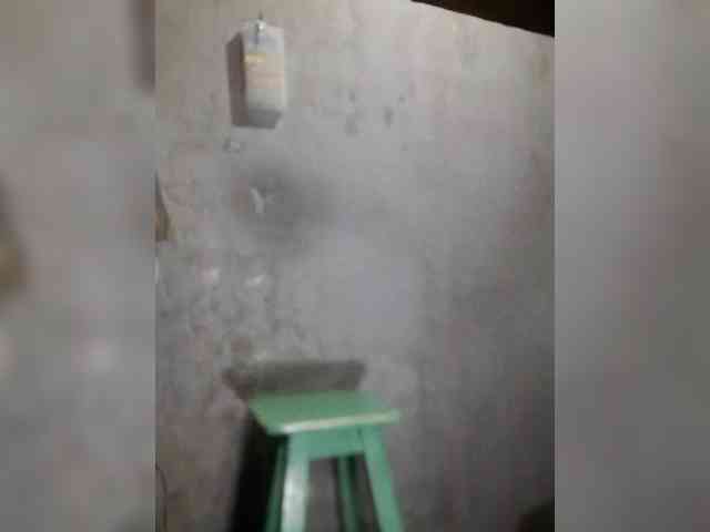 Serclem1