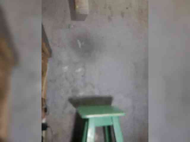 Serclem1