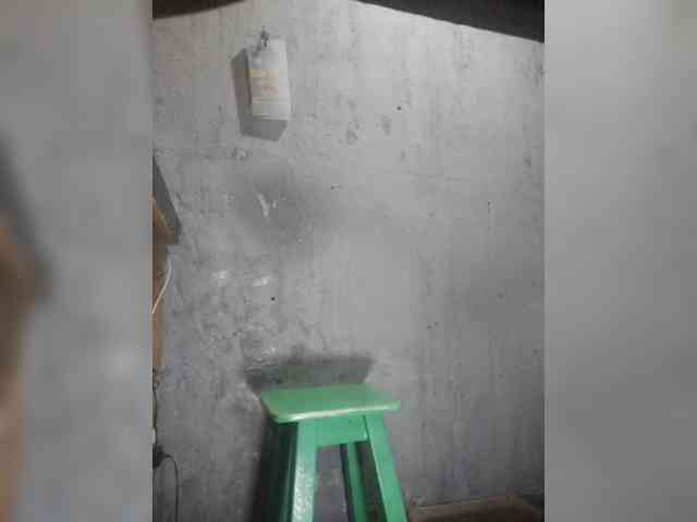 Serclem1 Serclem1