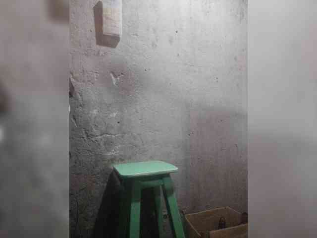 Serclem1