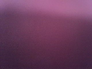 shees-sweet Porn Show