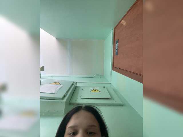 Sasa-23