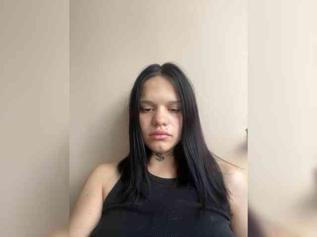Sasa-2295 webcam