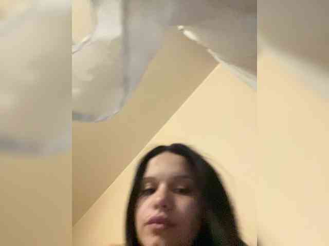 Sasa-2295 webcam