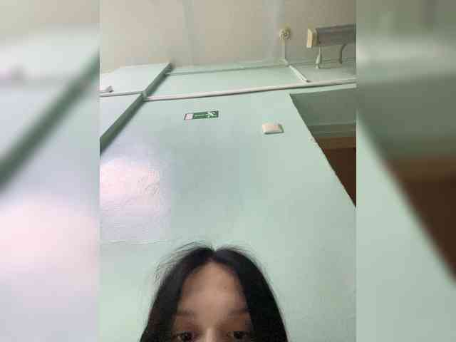 Sasa-23 webcam