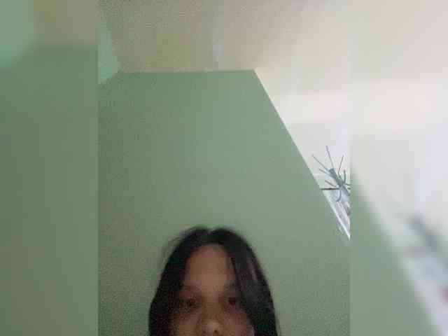 Sasa-23 webcam