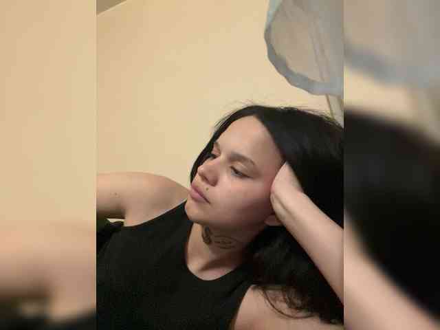 Sasa-2295 webcam