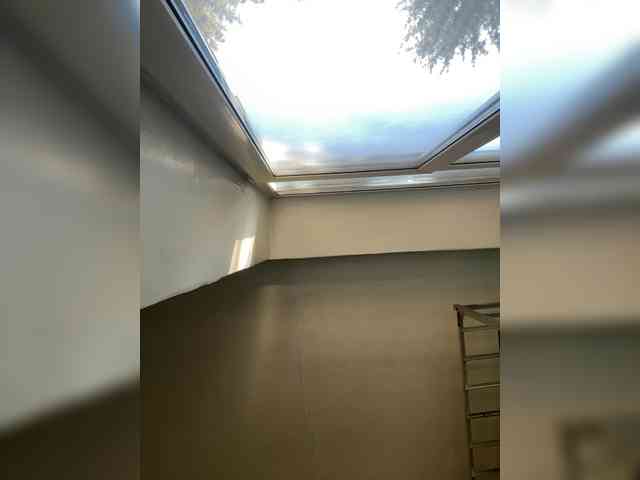 Sasa-2295 webcam