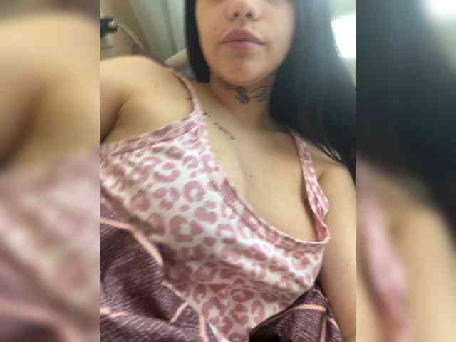 Sasa-2295 webcam