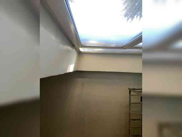 Sasa-2295 webcam