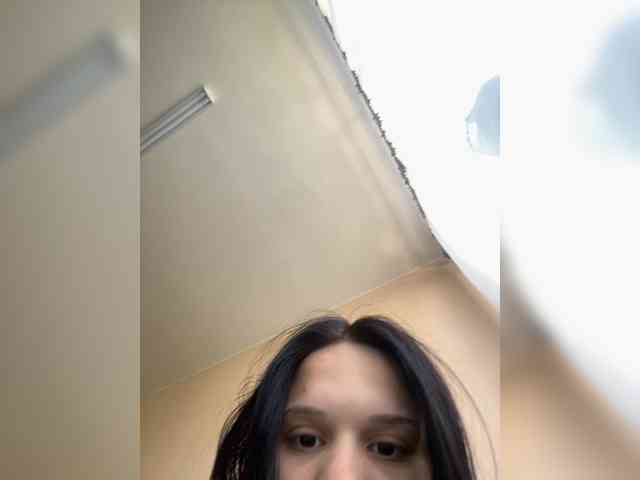 Sasa-2295 webcam