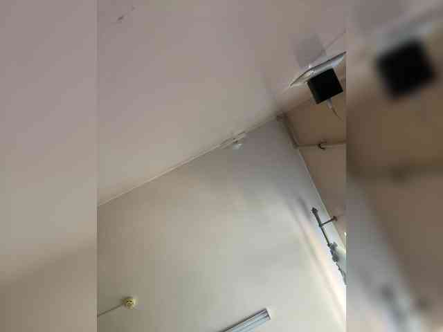 Sasa-2295 webcam