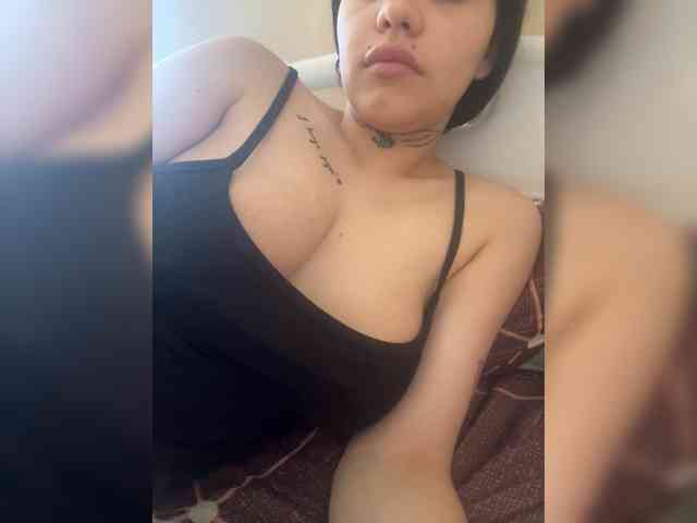 Sasa-2295 webcam