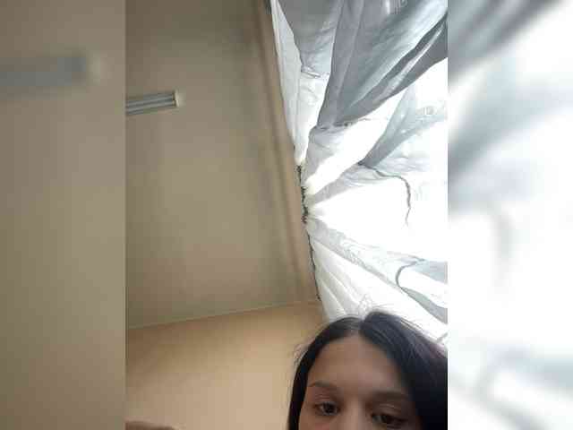 Sasa-2295 webcam