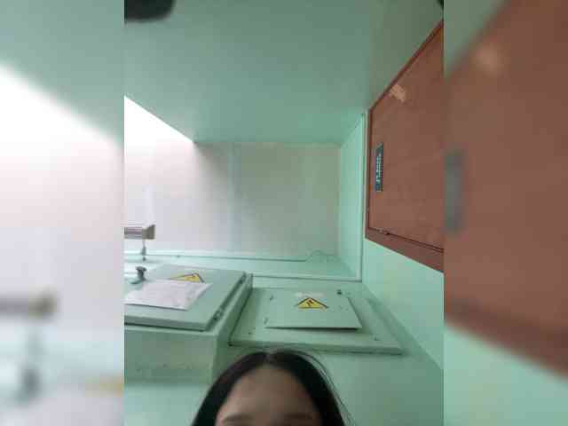 Sasa-23 webcam