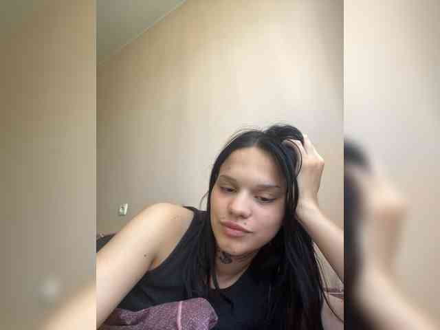 Sasa-2295 webcam